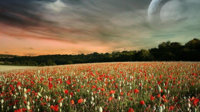 中国军队有多强，在世界能排第几？